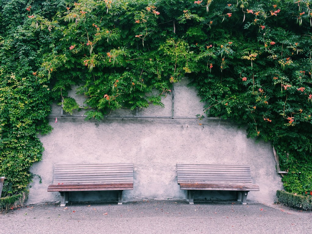 Processed with VSCOcam with c1 preset