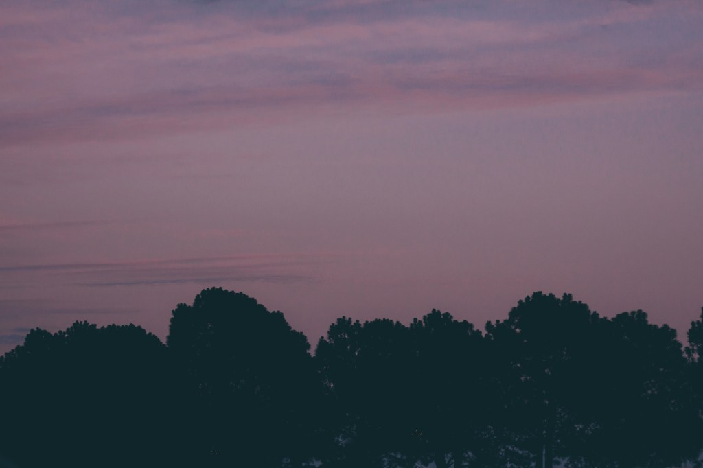 In Abundance : Advent&nbsp;2016