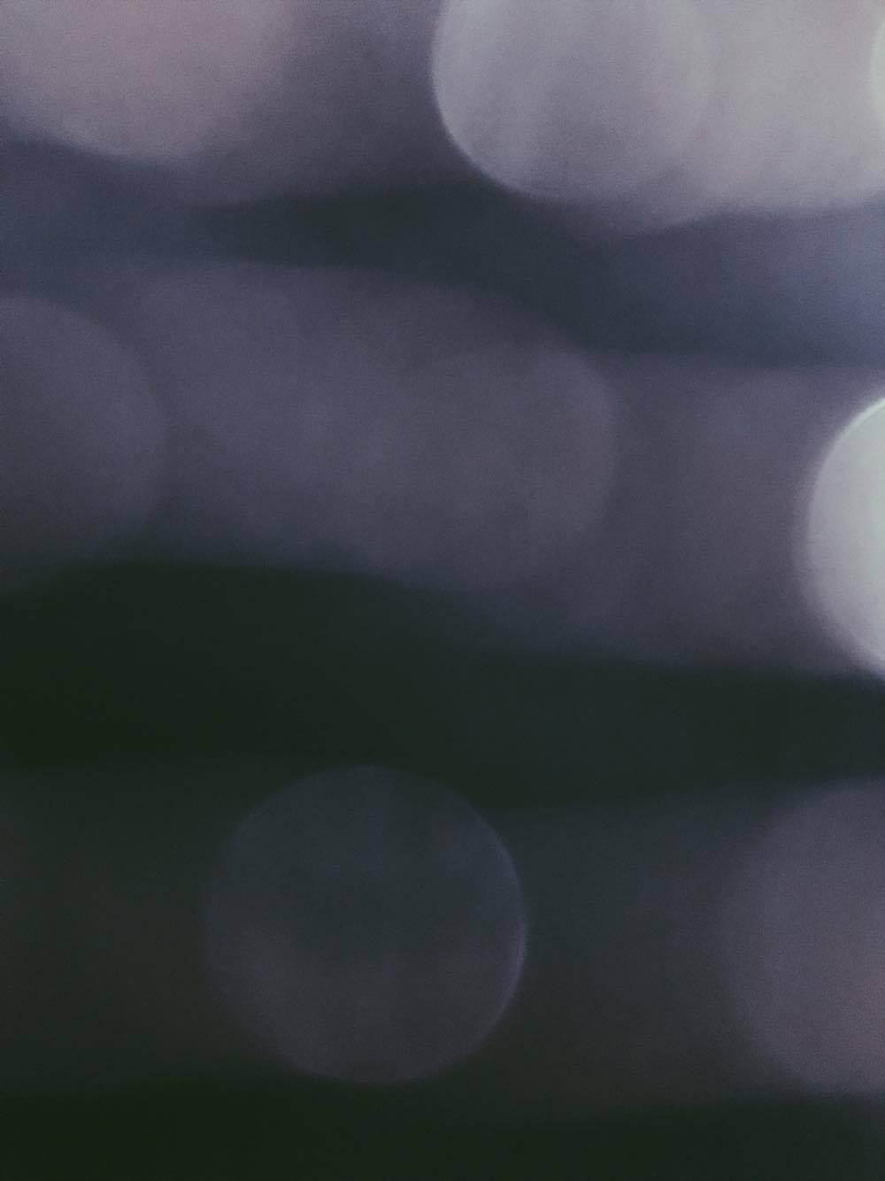 21556346_10210805688039199_584222382_o