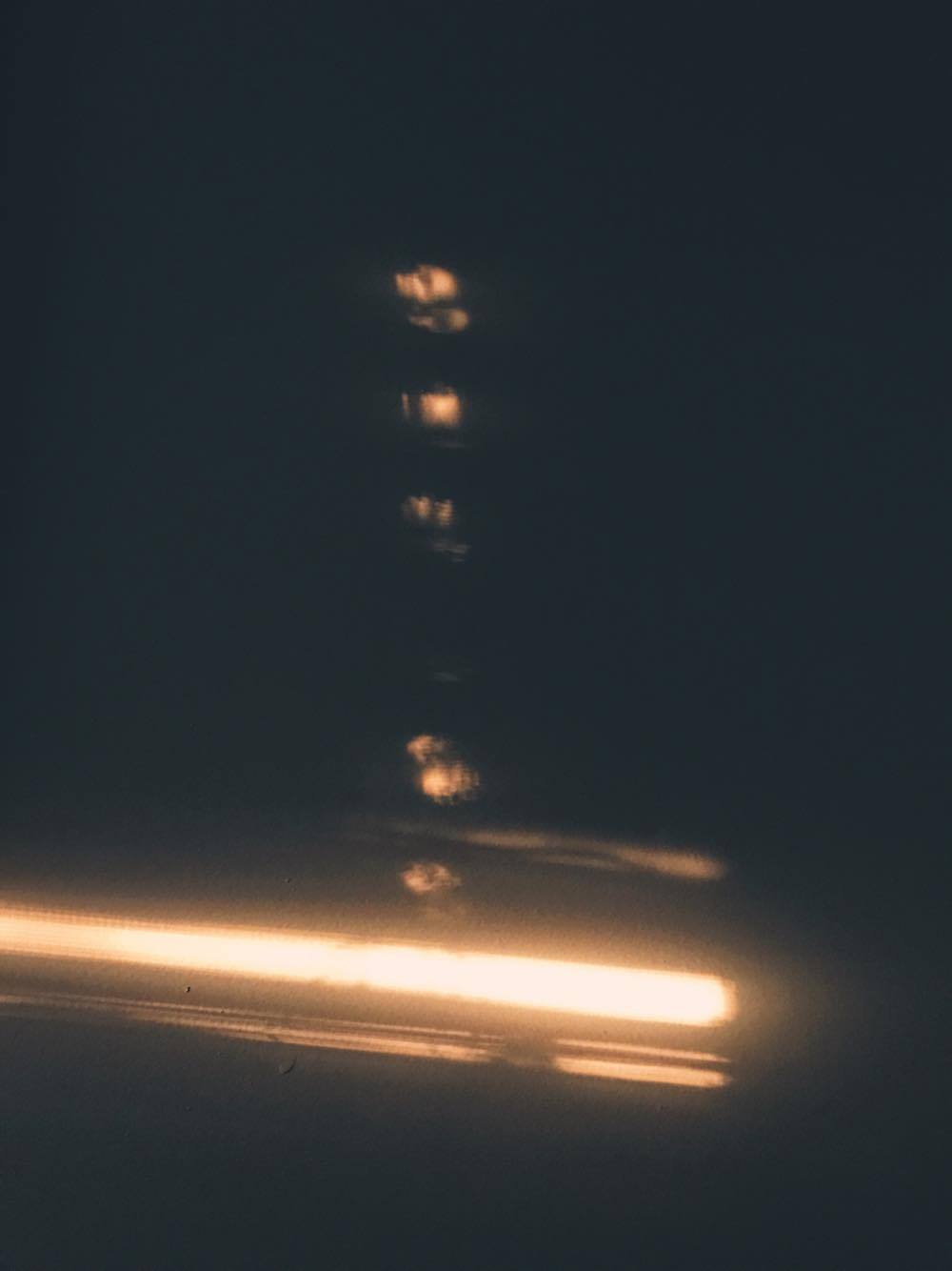 21556872_10210805686639164_1404697169_o