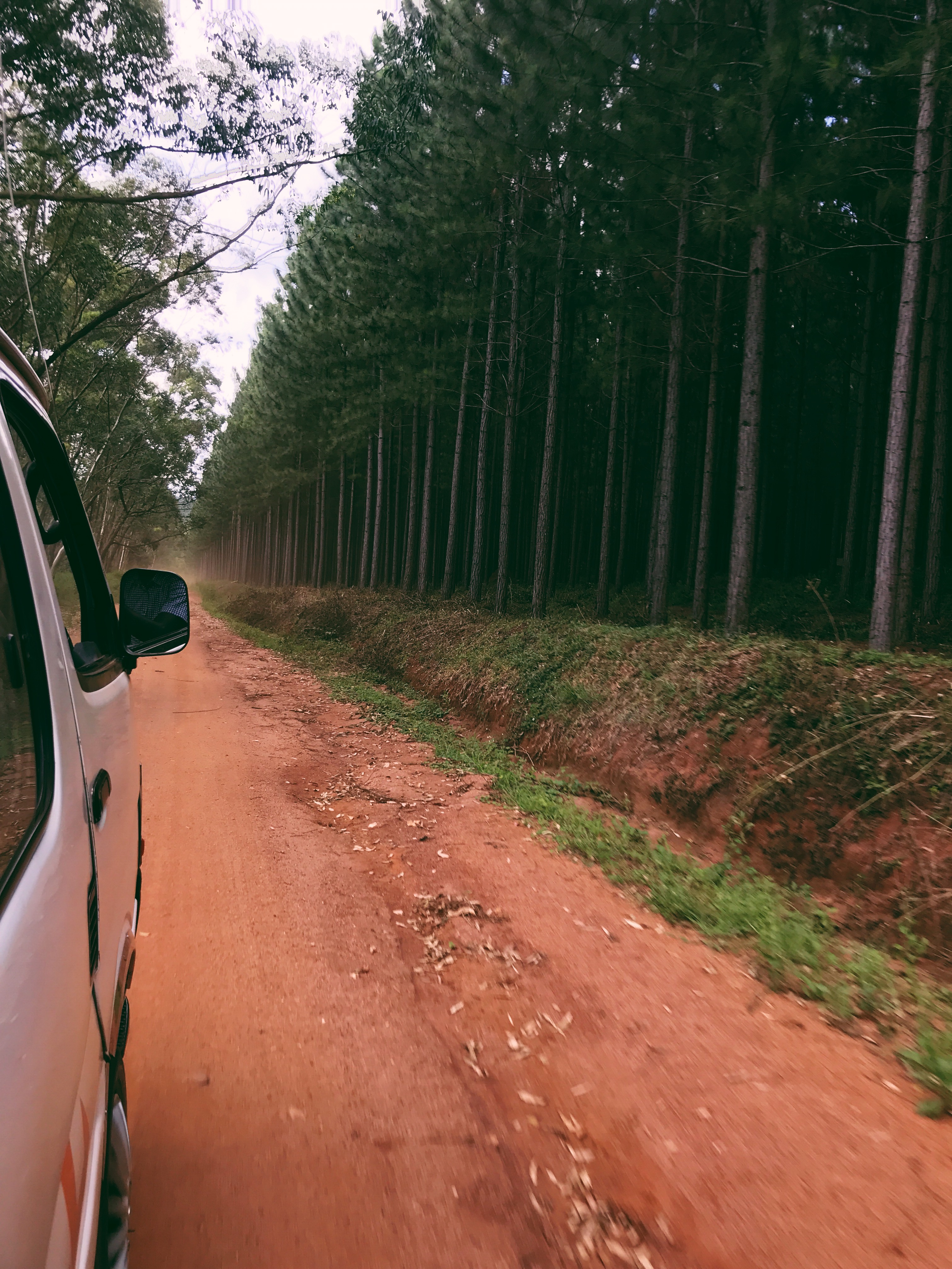 Processed with VSCO with 6 preset