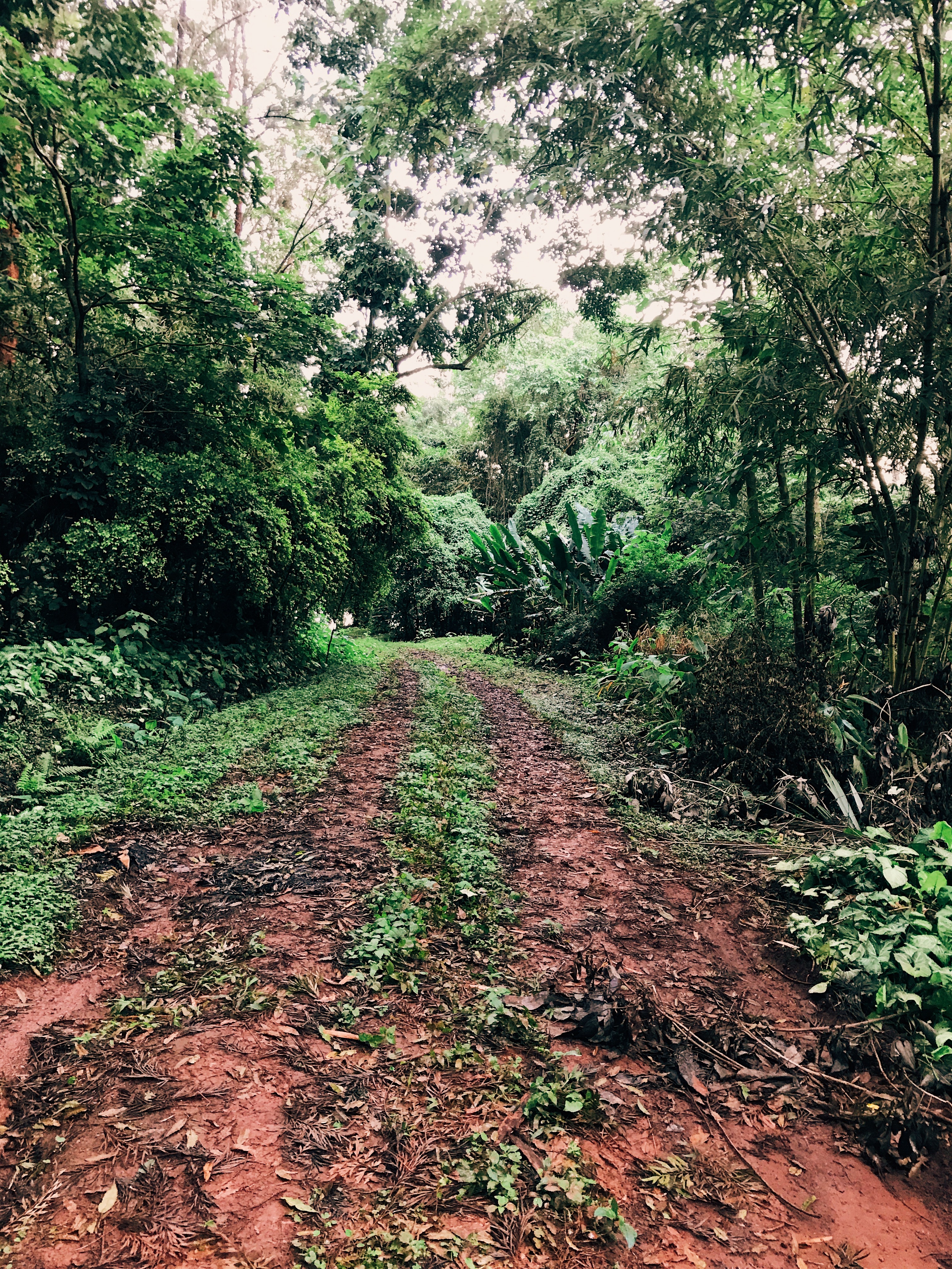 Processed with VSCO with e2 preset